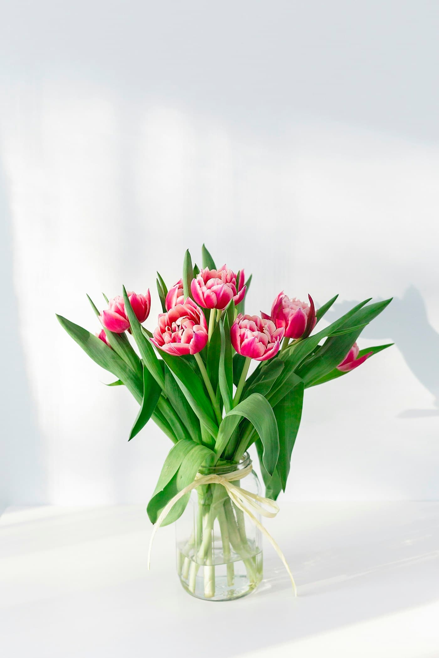 Coral tulip bunch